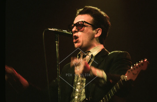 Elvis Costello | The Palladium | New York City | January 31, 1981