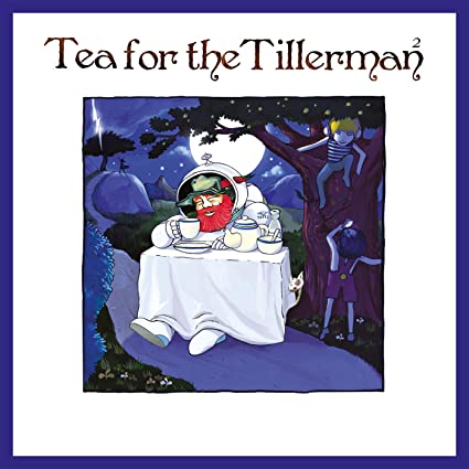 Cat Stevens - Tea for the Tillerman² [50th Anniversary Album]