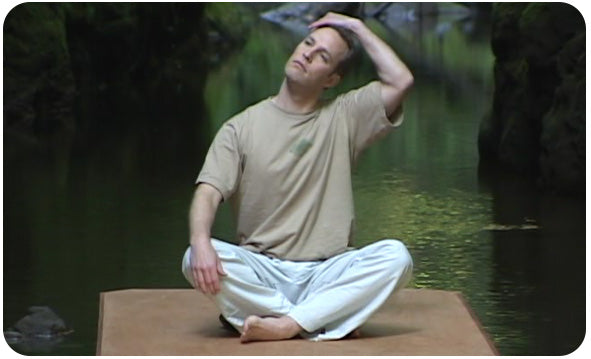 Qi Gong for Upper Back & Neck Pain (DVD)