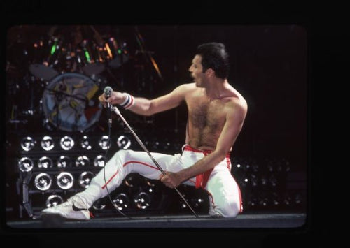 Freddie Strikes an Iconic Pose in Detriot 1980 Photo Print